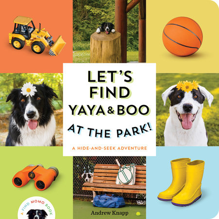 Let's Find Yaya and Boo at the Park! by Andrew Knapp