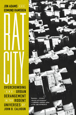 Rat City by Jon Adams and Edmund Ramsden