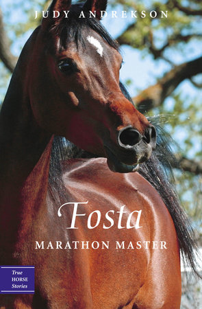 Fosta by Judy Andrekson