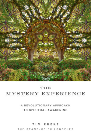 The Mystery Experience by Tim Freke