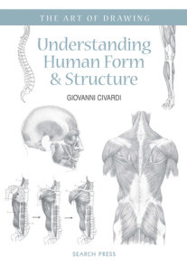 Art of Drawing: Understanding Human Form & Structure