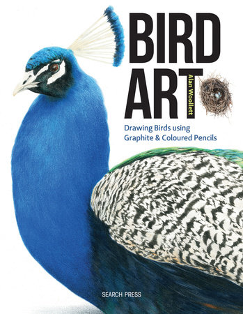 Bird Art by Alan Woollett
