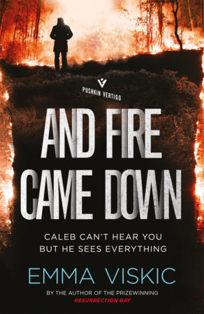 And Fire Came Down by Emma Viskic