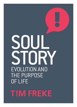 Soul Story by Tim Freke