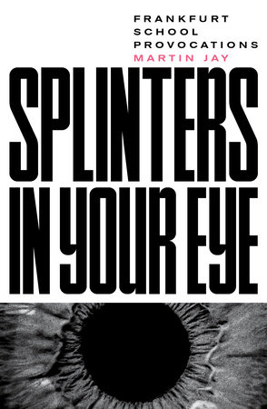 Splinters in Your Eye by Martin Jay