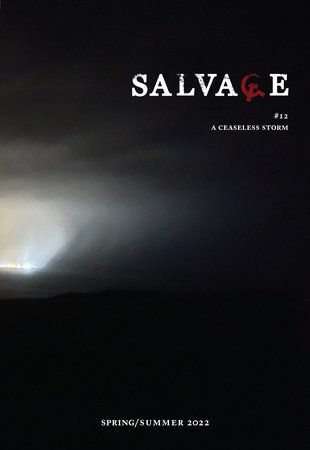 Salvage #12 by Salvage