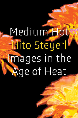Medium Hot by Hito Steyerl