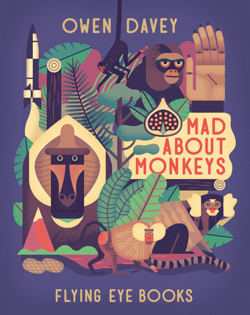 Mad About Monkeys by Owen Davey