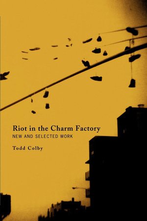 Riot in the Charm Factory by Todd Colby