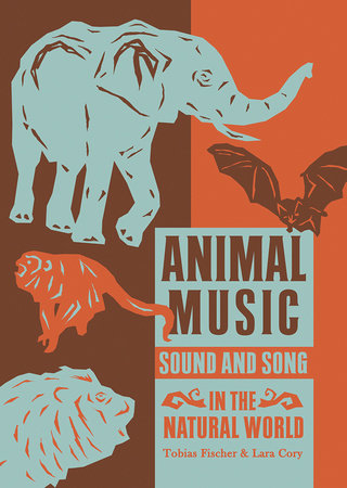 Animal Music by 