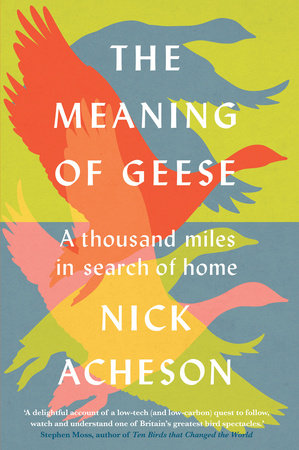The Meaning of Geese by Nick Acheson