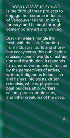 Brackish Waters by 