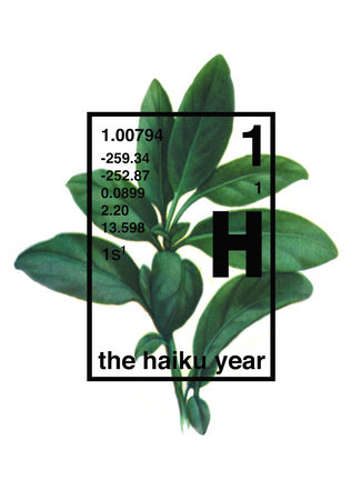 The Haiku Year by Michael Stipe, Douglas Martin, Grant Lee Phillips and Tom Gilroy