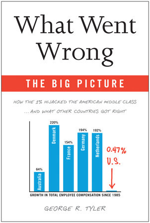 What Went Wrong: The Big Picture by George R. Tyler