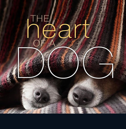 The Heart of a Dog by Liz Abeler Blaylock