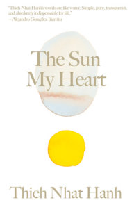 The Sun My Heart