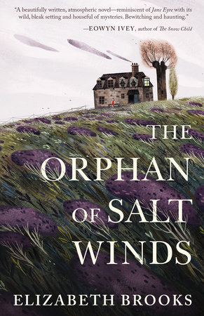 The Orphan of Salt Winds by Elizabeth Brooks