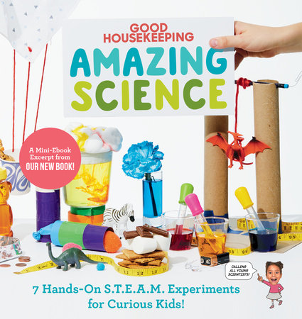 Good Housekeeping Amazing Science S.T.E.A.M. Experiment Sampler by Rachel Rothman