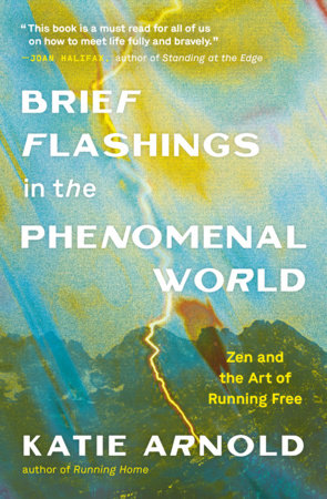 Brief Flashings in the Phenomenal World by Katie Arnold