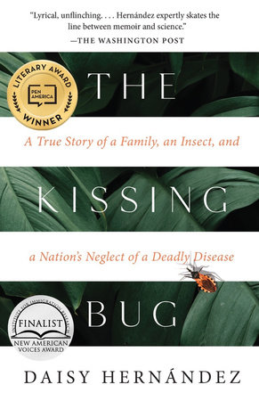 The Kissing Bug by Daisy Hernández