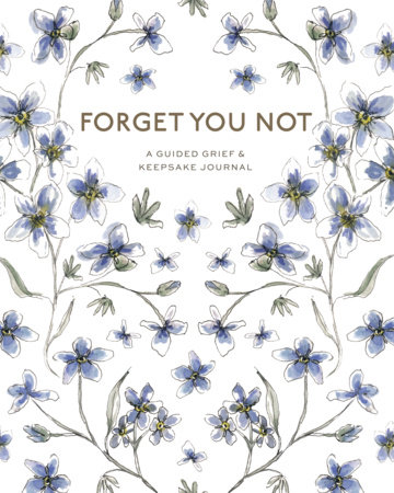 Forget You Not by Brittany DeSantis