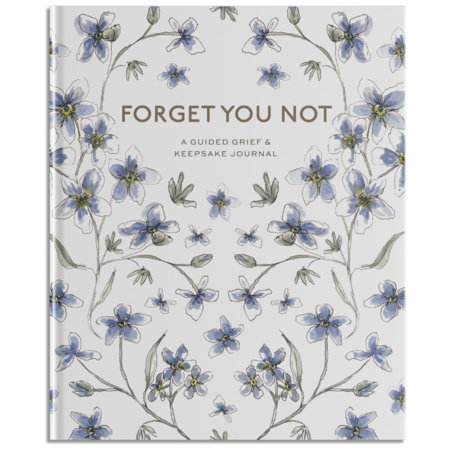 Forget You Not by Brittany DeSantis