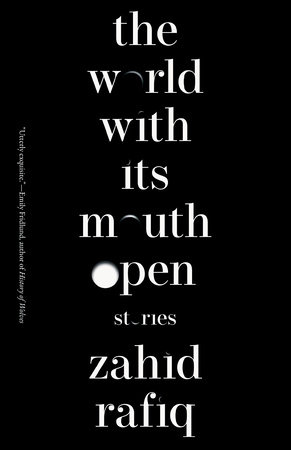 The World With Its Mouth Open by Zahid Rafiq