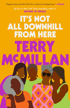 It's Not All Downhill From Here by Terry McMillan