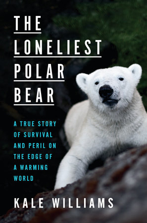 The Loneliest Polar Bear by Kale Williams