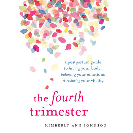 The Fourth Trimester by Kimberly Ann Johnson