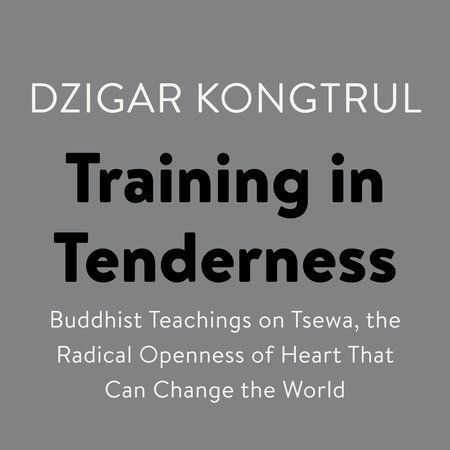 Training in Tenderness by Dzigar Kongtrul