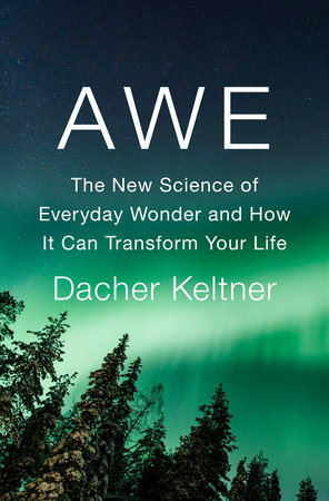 Awe by Dacher Keltner