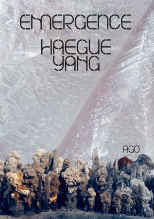 Haegue Yang: Emergence by Adelina Vlas, Lynne Cooke and Jee-sook Beck