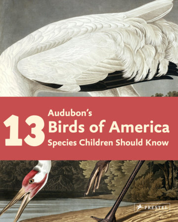 Audubon's Birds of America by Brad Finger