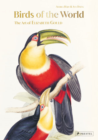 Birds of the World by Andrea Hart and Ann Datta