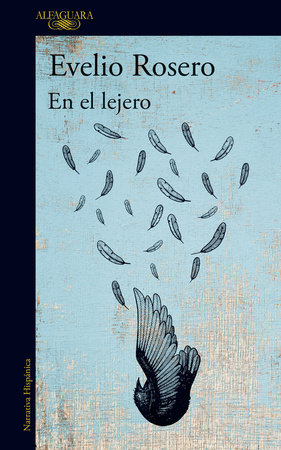 En el lejero / Far Far Away by Evelio Rosero