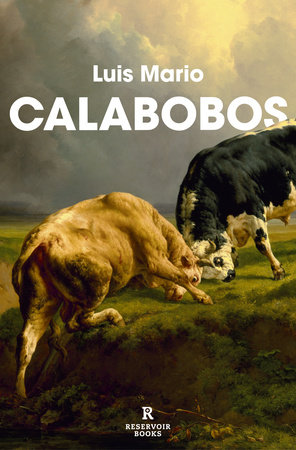Calabobos / Drizzle by Luis Mario