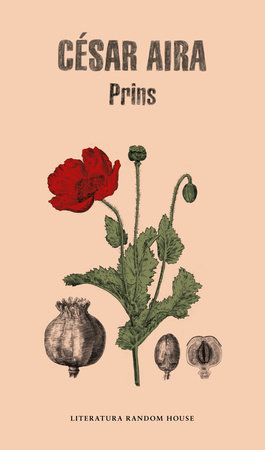 Prins (Spanish Edition) by Cesar Aira