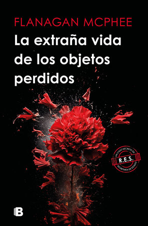 La extraña vida de los objetos perdidos / The Strange Life of Lost Objects