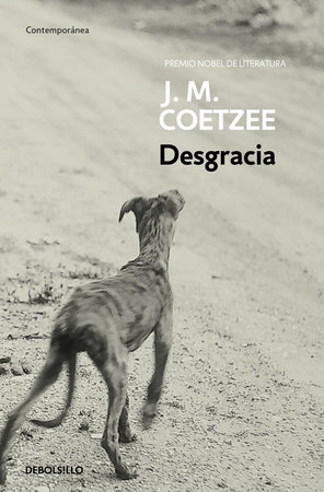 Desgracia / Disgrace