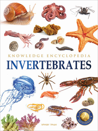 Animals - Invertebrates : Knowledge Encyclopedia For Children by Wonder House Books
