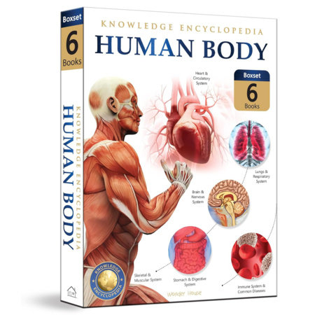 Human Body Box Set: Knowledge Encyclopedia For Children by Wonder House Books