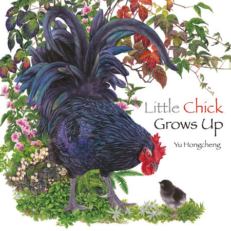 Little Chick Grows Up by Yu Hongcheng