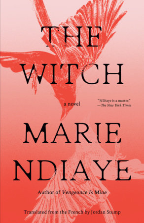 The Witch by Marie NDiaye