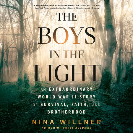 The Boys in the Light by Nina Willner