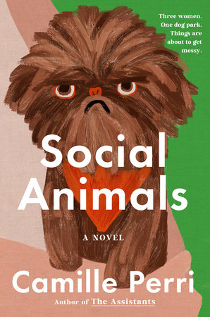 Social Animals by Camille Perri