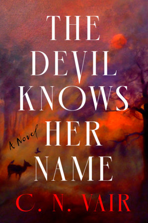 The Devil Knows Her Name by C. N. Vair