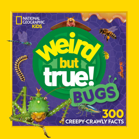 Weird But True! Bugs by National Geographic Kids