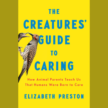 The Creatures' Guide to Caring by Elizabeth Preston