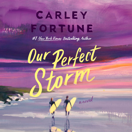 Our Perfect Storm by Carley Fortune